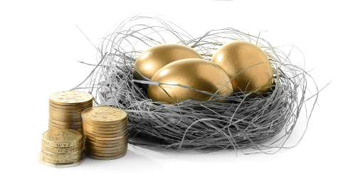 nest egg
