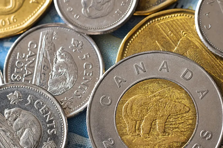 Different Types of Canadian coins lying on a blue table
